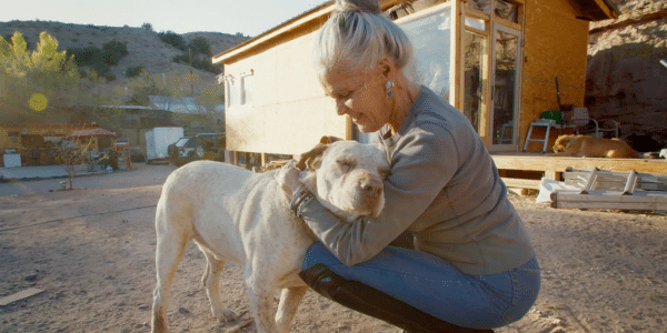 Image is not available