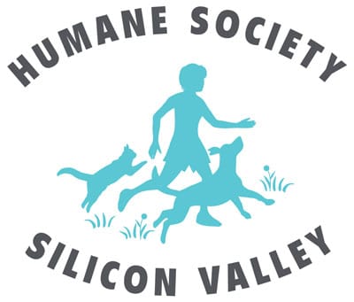 HSSV Logo