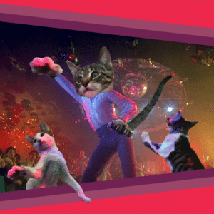 photoshopped cat dancing