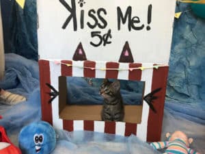 kiss me cat booth