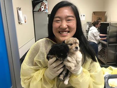 team member with 2 puppies
