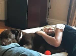 dog cuddling with adopter