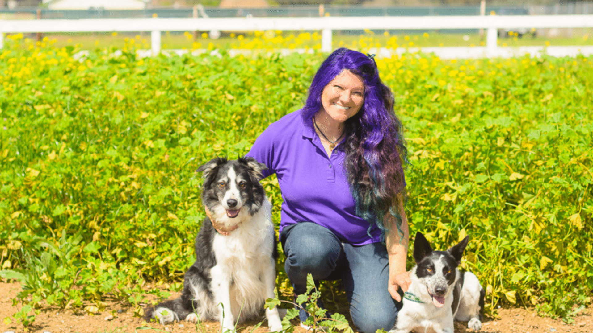 Image is not available