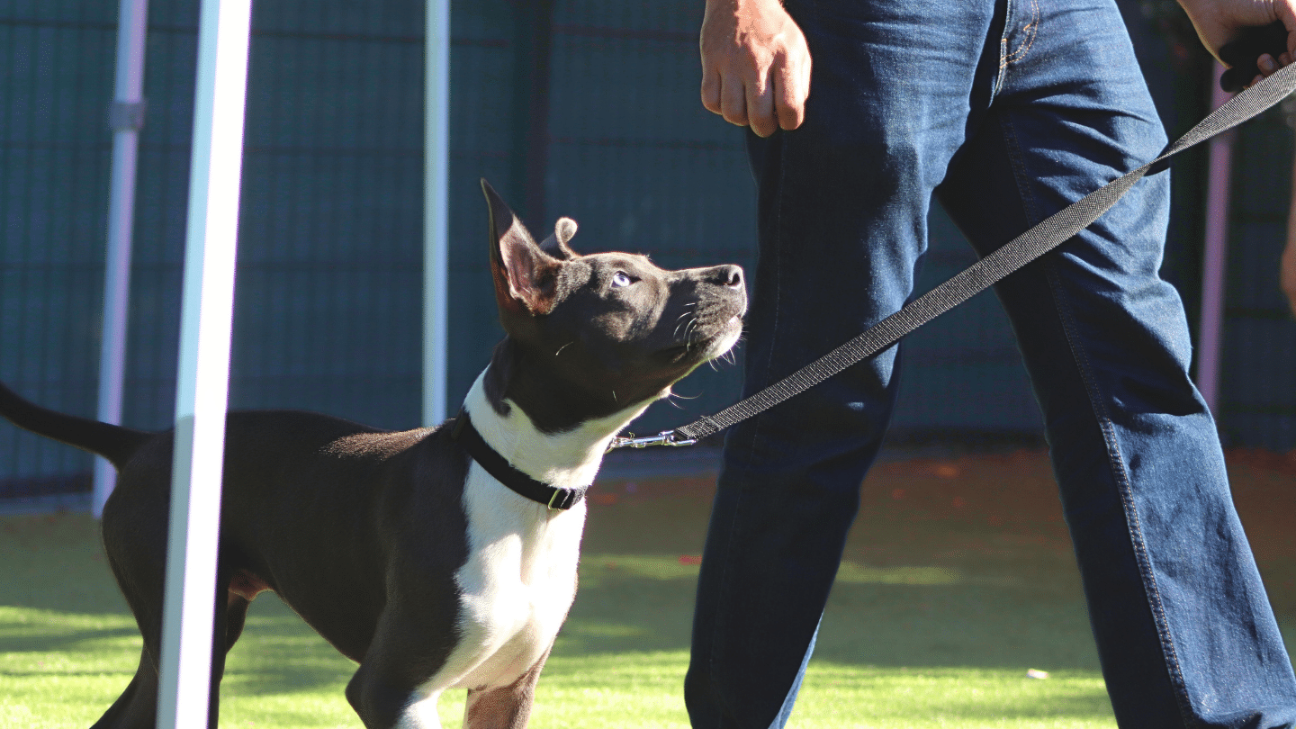 Image is not available