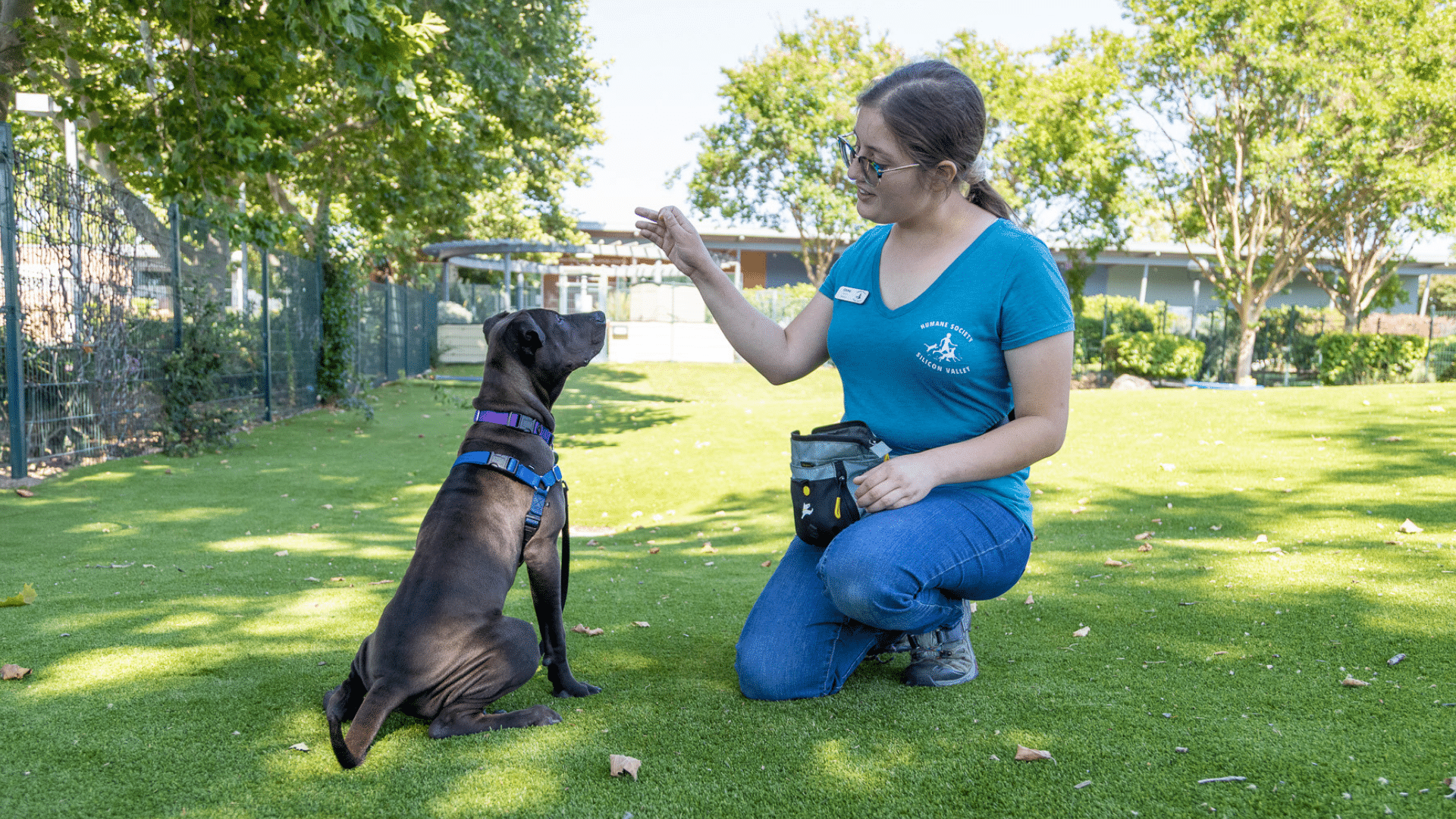 Image is not available