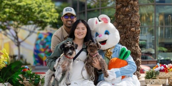 Image is not available