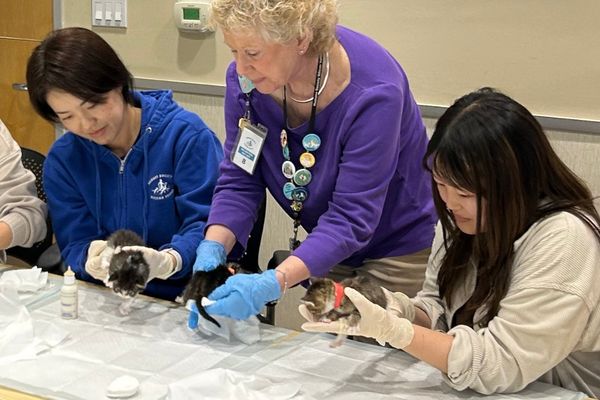 Image is not available