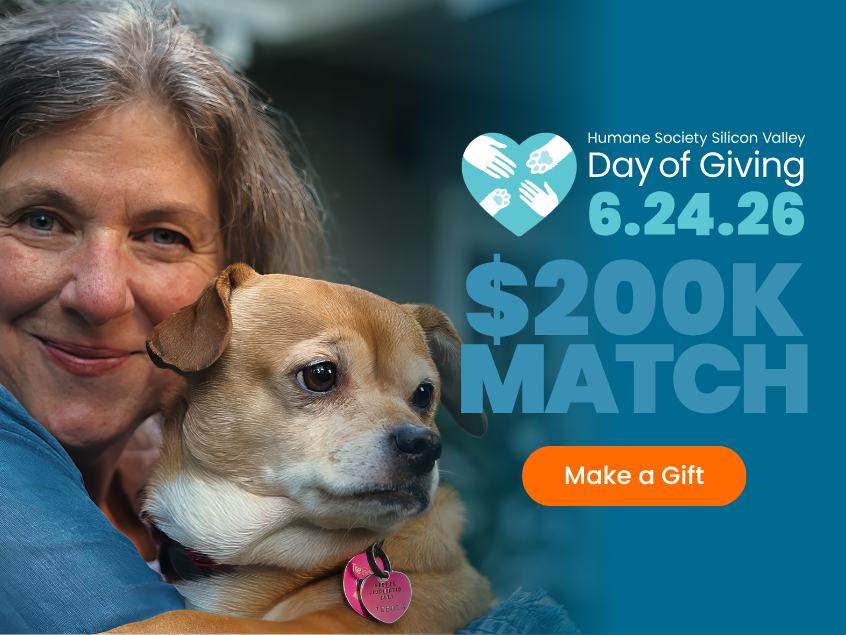 Day of Giving - $200K Match through 6/24/26