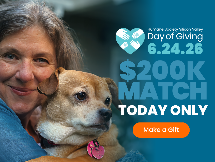 Today only! Day of Giving - $200K Match through 6/24/26