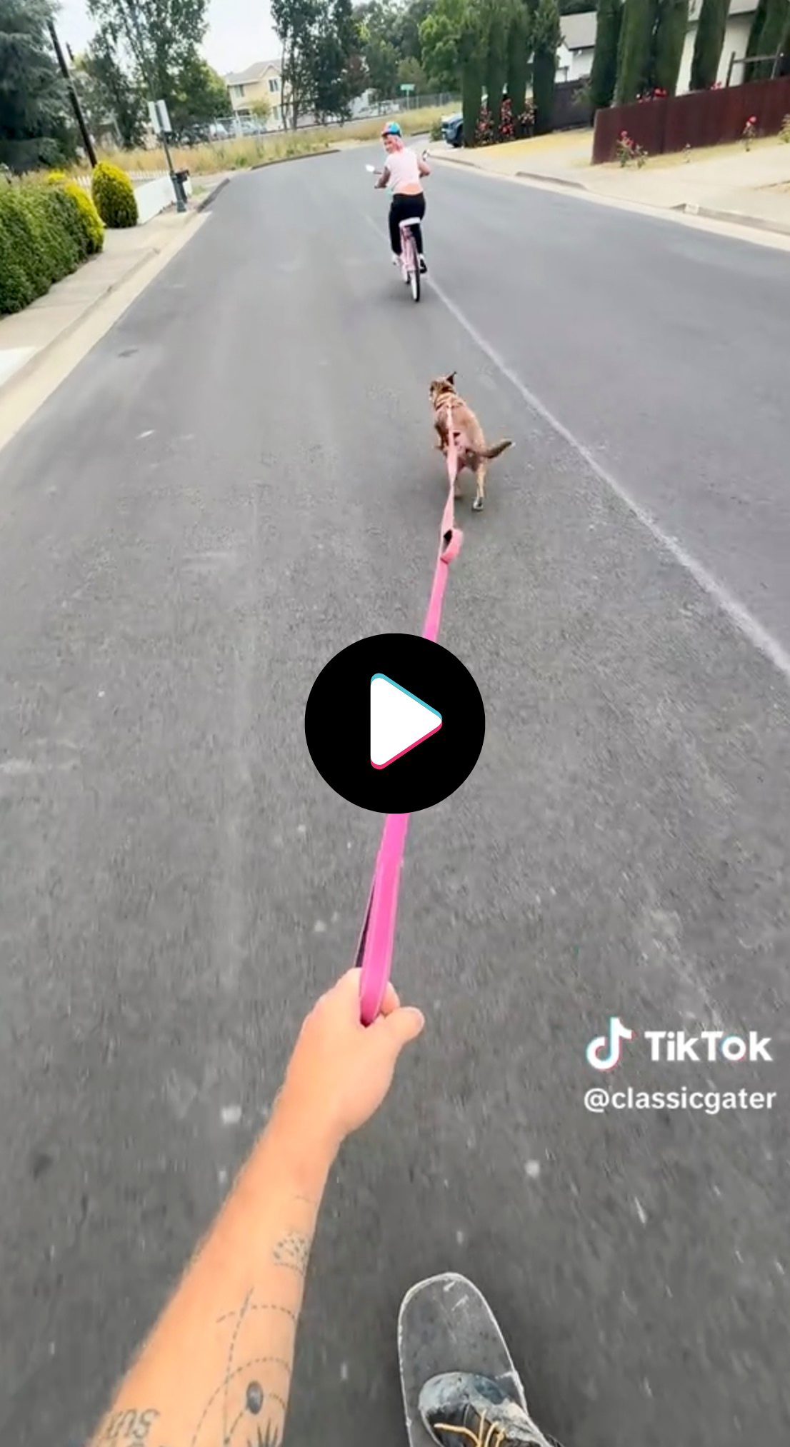 Link to a video of a blind dog pulling skateboarder on a leash
